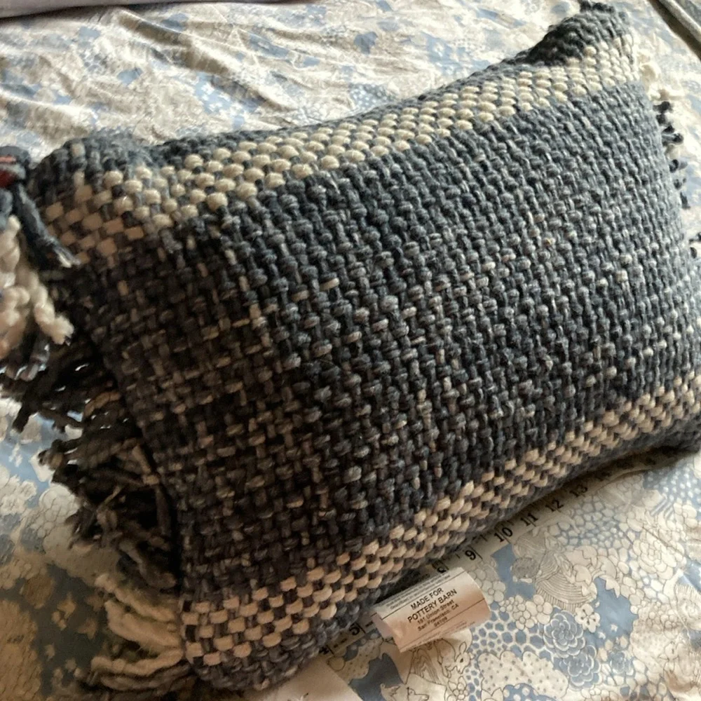 Pottery Barn Ixora pillow 14x20 inches